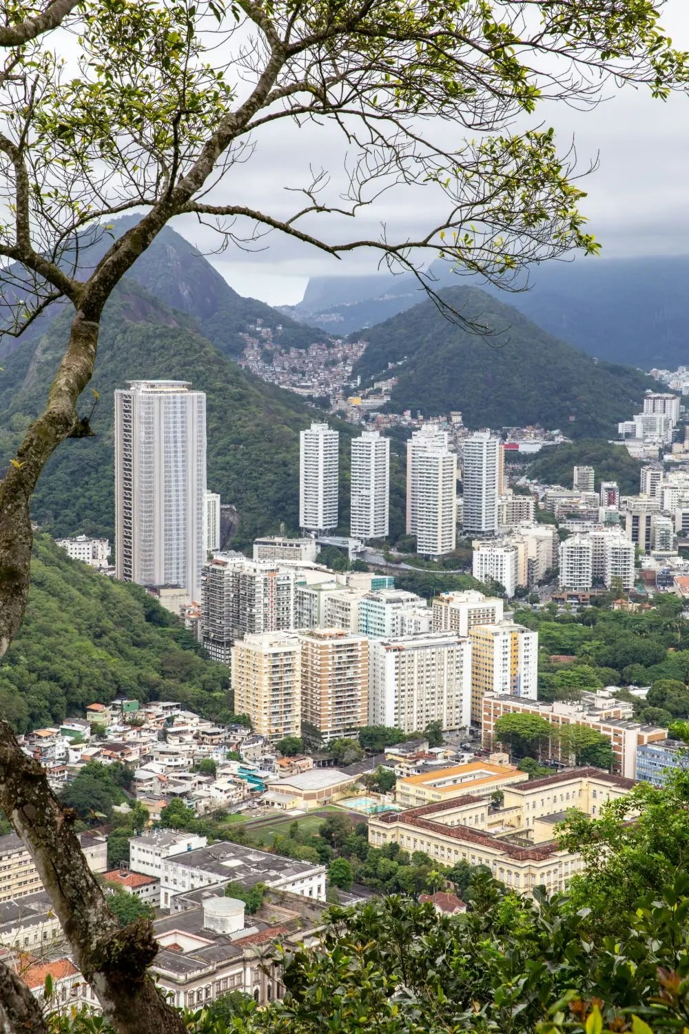 Rio de Janeiro hillsides seen through the trees
