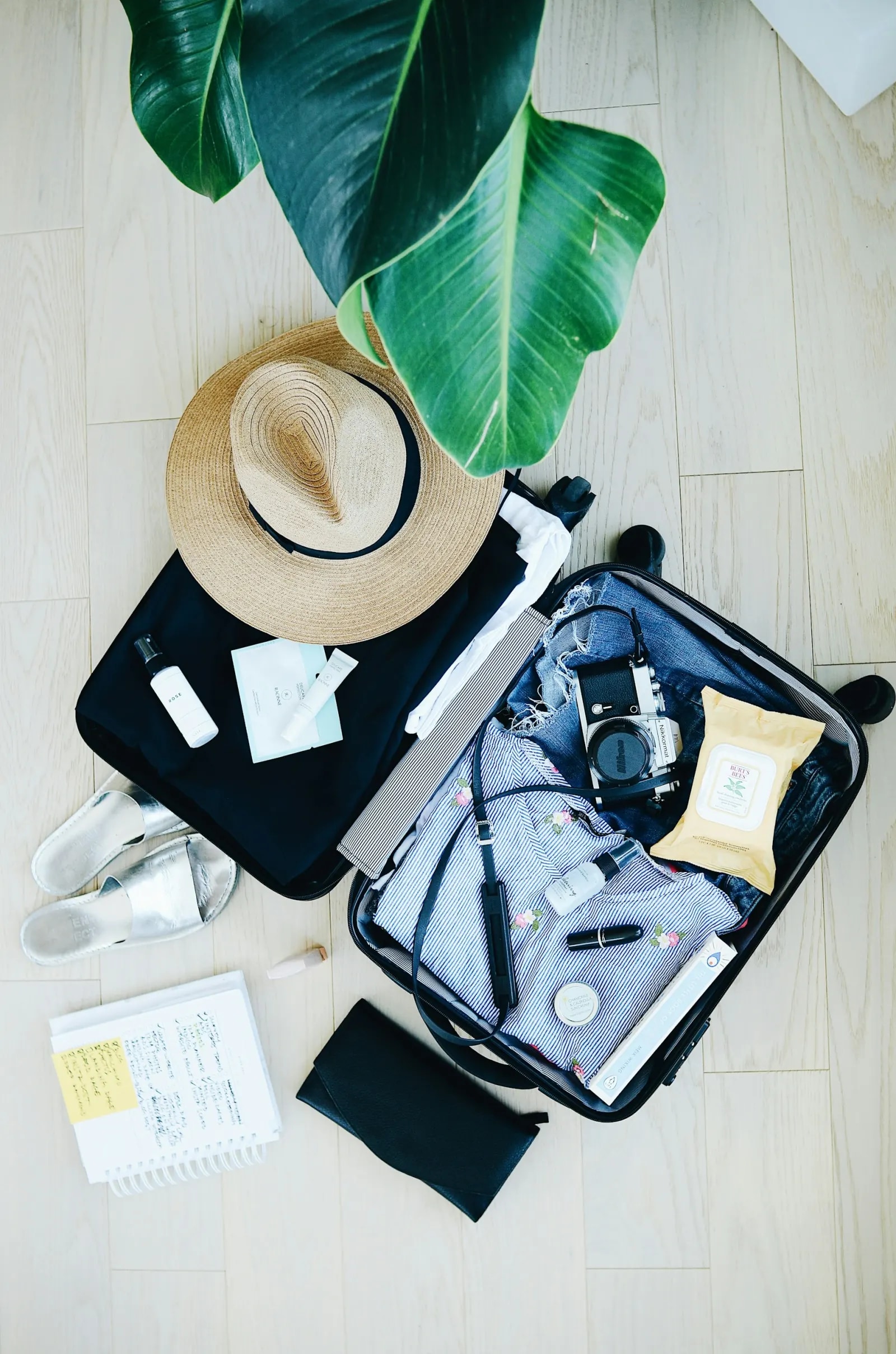 Traveler ready for a trip to the United States