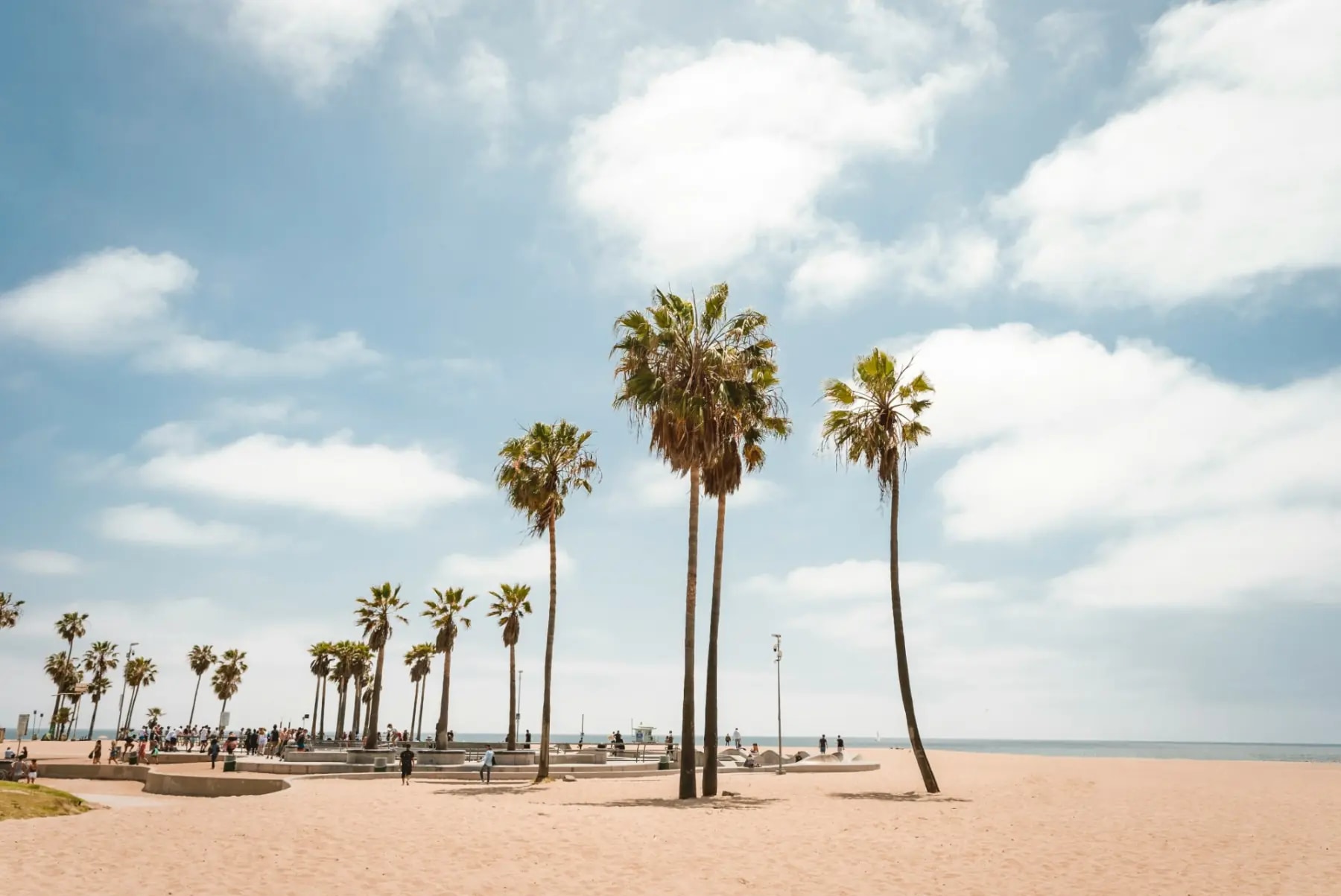 Palmeiras em Venice Beach, Los Angeles